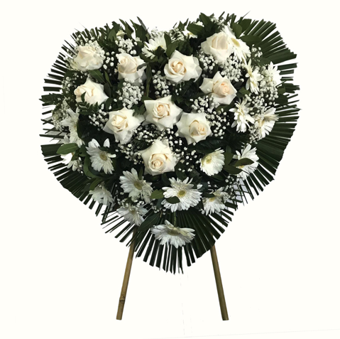 Cuore Elite